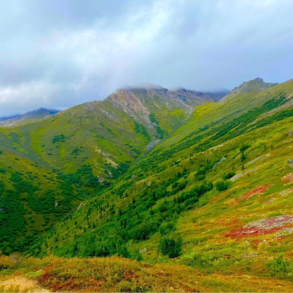 Meet your Posher, Erin